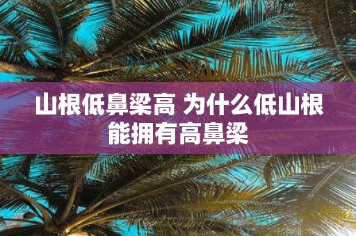 山根低鼻梁高 为什么低山根能拥有高鼻梁
