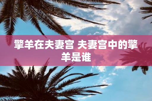 擎羊在夫妻宫 夫妻宫中的擎羊是谁
