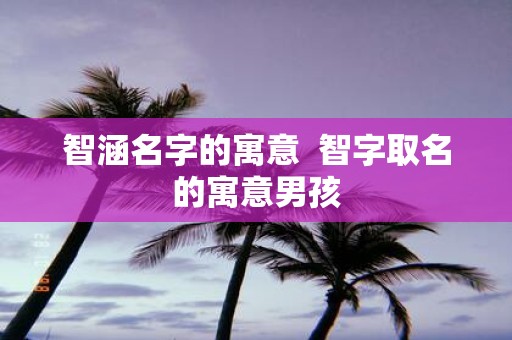 智涵名字的寓意 智字取名的寓意男孩