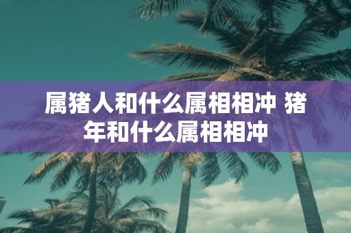 属猪人和什么属相相冲 猪年和什么属相相冲