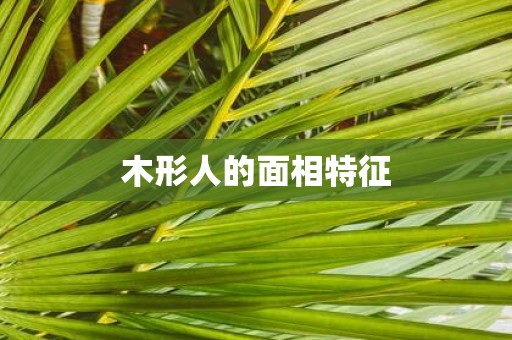 木形人的面相特征