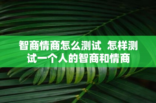 智商情商怎么测试 怎样测试一个人的智商和情商
