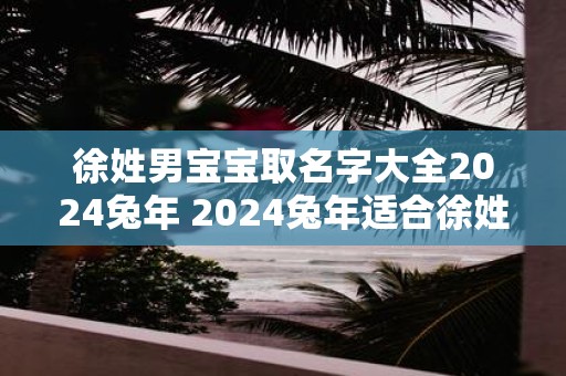 徐姓男宝宝取名字大全2025蛇年 2025蛇年适合徐姓男宝宝取什么名字
