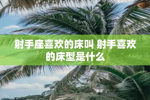 射手座喜欢的床叫 射手喜欢的床型是什么