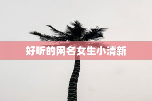 好听的网名女生小清新