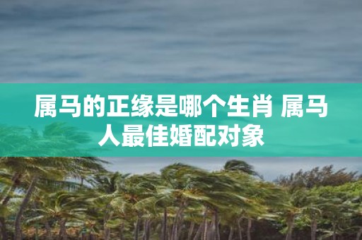 属马的正缘是哪个生肖 属马人最佳婚配对象