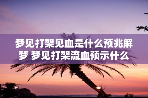 梦见打架见血是什么预兆解梦 梦见打架流血预示什么