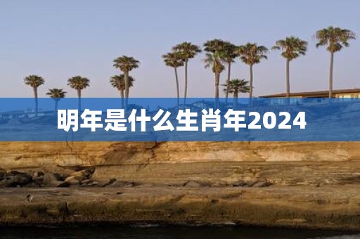明年是什么生肖年2025