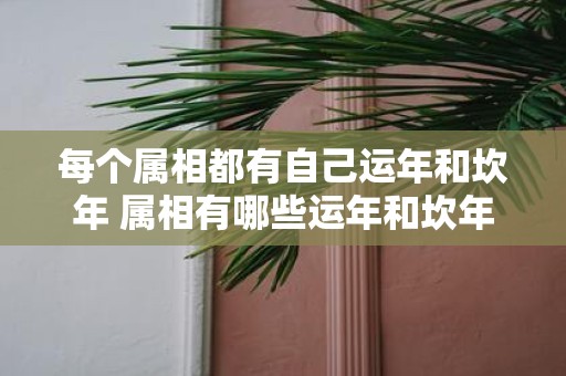 每个属相都有自己运年和坎年 属相有哪些运年和坎年