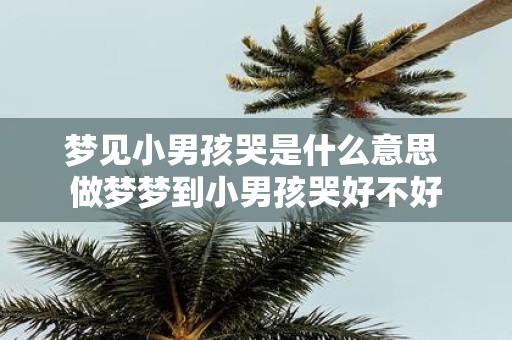 梦见小男孩哭是什么意思 做梦梦到小男孩哭好不好