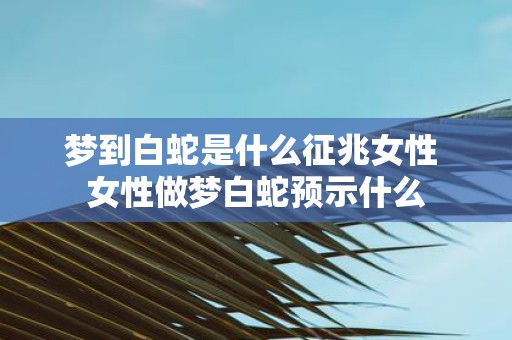梦到白蛇是什么征兆女性 女性做梦白蛇预示什么