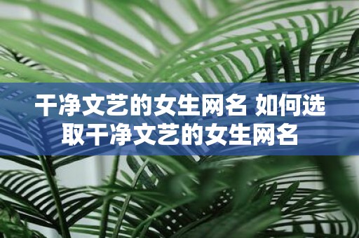 干净文艺的女生网名 如何选取干净文艺的女生网名