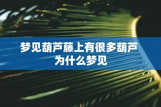 梦见葫芦藤上有很多葫芦 为什么梦见