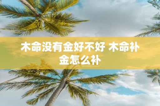木命没有金好不好 木命补金怎么补