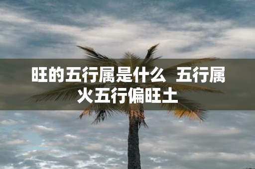 旺的五行属是什么 五行属火五行偏旺土