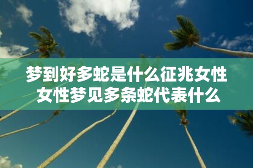 梦到好多蛇是什么征兆女性 女性梦见多条蛇代表什么