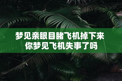 梦见亲眼目睹飞机掉下来 你梦见飞机失事了吗