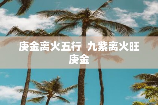 庚金离火五行 九紫离火旺庚金