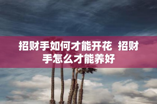 招财手如何才能开花 招财手怎么才能养好