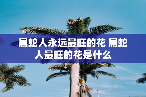 属蛇人永远最旺的花 属蛇人最旺的花是什么