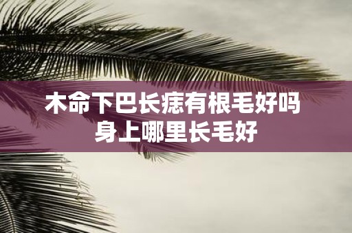 木命下巴长痣有根毛好吗 身上哪里长毛好