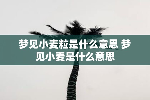 梦见小麦粒是什么意思 梦见小麦是什么意思