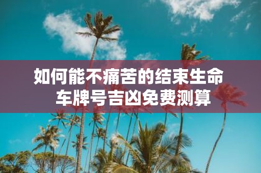 如何能不痛苦的结束生命 车牌号吉凶免费测算