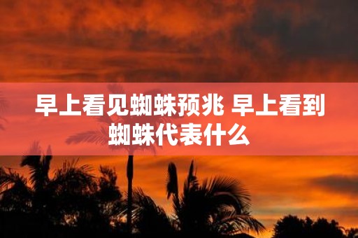 早上看见蜘蛛预兆 早上看到蜘蛛代表什么