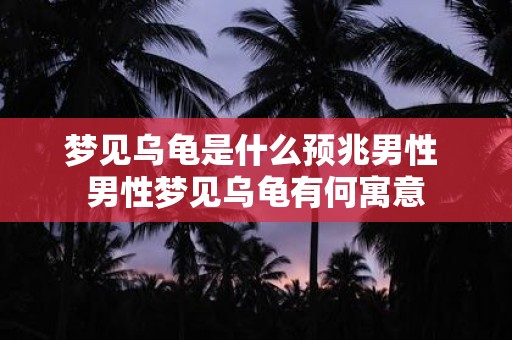 梦见乌龟是什么预兆男性 男性梦见乌龟有何寓意