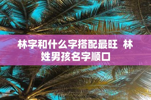 林字和什么字搭配最旺 林姓男孩名字顺口