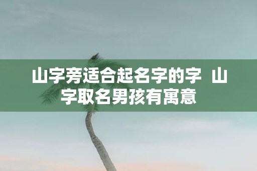 山字旁适合起名字的字 山字取名男孩有寓意