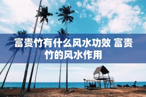 富贵竹有什么风水功效 富贵竹的风水作用