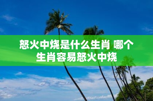 怒火中烧是什么生肖 哪个生肖容易怒火中烧