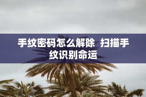 手纹密码怎么解除 扫描手纹识别命运