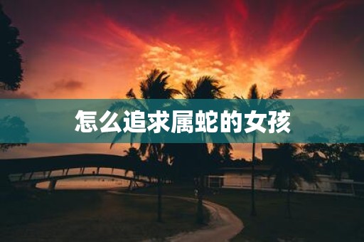 怎么追求属蛇的女孩