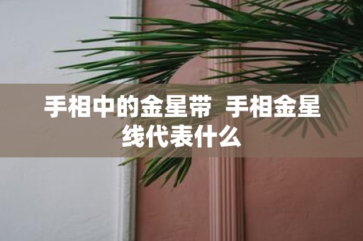 手相中的金星带 手相金星线代表什么