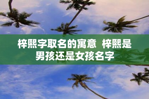 梓熙字取名的寓意 梓熙是男孩还是女孩名字