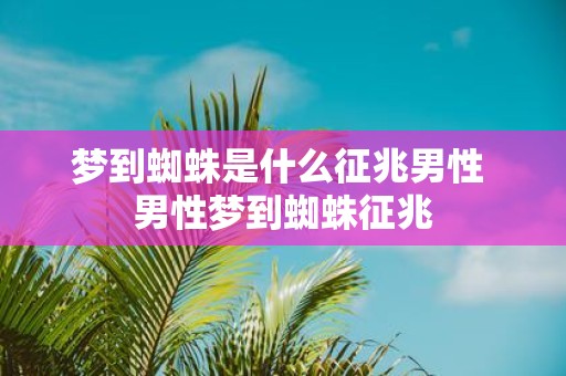 梦到蜘蛛是什么征兆男性 男性梦到蜘蛛征兆