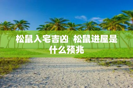 松鼠入宅吉凶 松鼠进屋是什么预兆