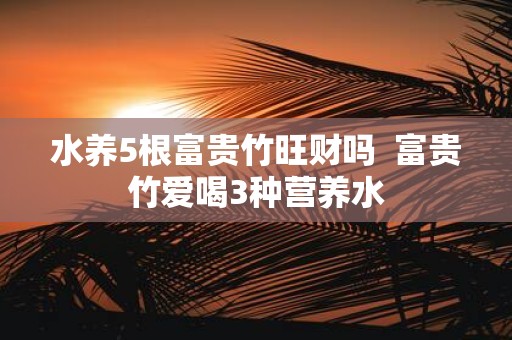 水养5根富贵竹旺财吗 富贵竹爱喝3种营养水