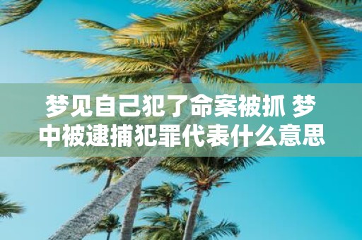 梦见自己犯了命案被抓 梦中被逮捕犯罪代表什么意思