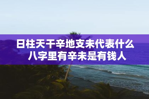 日柱天干辛地支未代表什么 八字里有辛未是有钱人