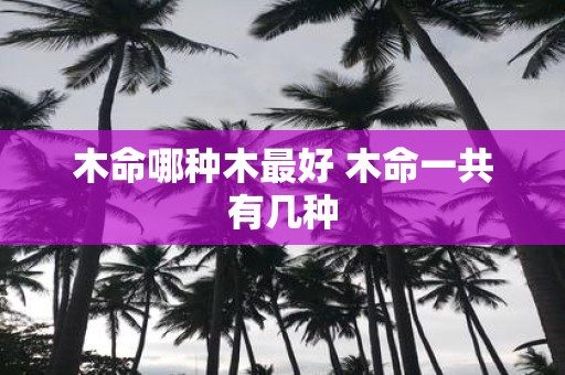 木命哪种木最好 木命一共有几种