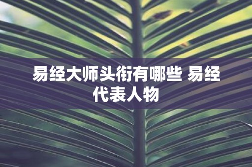 易经大师头衔有哪些 易经代表人物