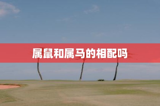 属鼠和属马的相配吗