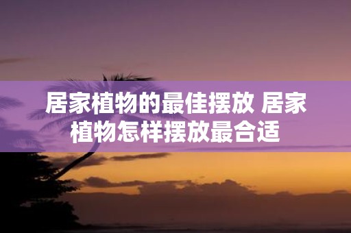 居家植物的最佳摆放 居家植物怎样摆放最合适