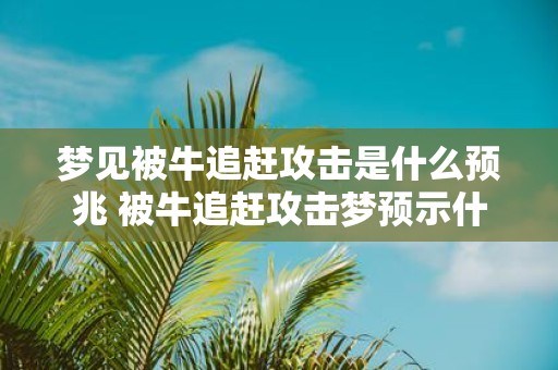 梦见被牛追赶攻击是什么预兆 被牛追赶攻击梦预示什么