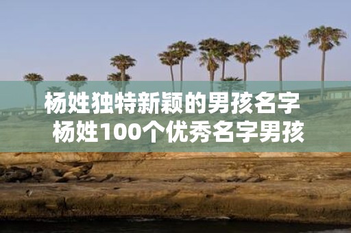 杨姓独特新颖的男孩名字 杨姓100个优秀名字男孩
