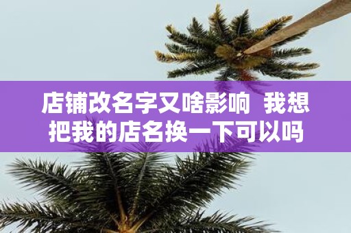 店铺改名字又啥影响 我想把我的店名换一下可以吗