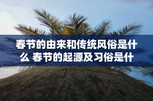 春节的由来和传统风俗是什么 春节的起源及习俗是什么